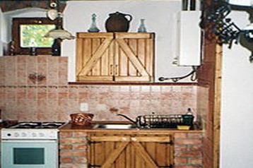 Ungārija Privát Bodony, Eksterjers